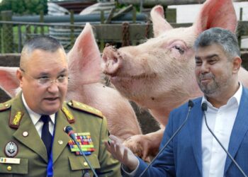 Scandal uriaș după ce Legea porcului interzicea ca românul să-și vândă porcul din gospodărie. Ședință de urgență