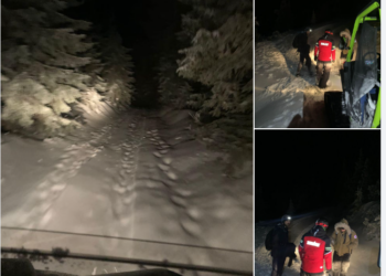 Doi turiști și un câine găsiți  de salvamontiști în Stâna de Vale după două ore de căutări