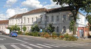 Judecătoarea Ioana Florentina Popa, șefa Judecătoriei Beiuș, cerere de pensionare