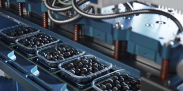 VIDEO.Bihorenii care pun afinele în farfuriile celor din Orientul Mijlociu. Povestea impresionantă a unei firme de agricultură cu rădăcini în IT