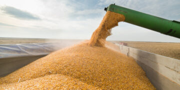Cine sunt cei mai importanți actori din agricultura Bihorului