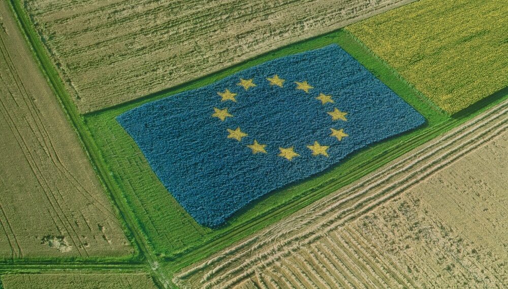 Șefa Comisiei Europene anunță lansarea unui dialog strategic privind viitorul agriculturii
