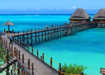 11 cazuri de malarie, unul e al unui beiușean întors din Zanzibar. A fost transferat la  Spitalul Dr. Victor Babeș  București