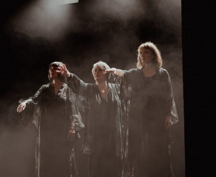 De ce consideră scriitorul Călin Ciobotari că nu poți face cronică de teatru la ”Zeițe de categoria B”, spectacolul în care joacă și orădeanca Ioana Dragoș Gajdó 