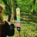 55 de trasee educative înființate de Romsilva. Unul este în Bihor