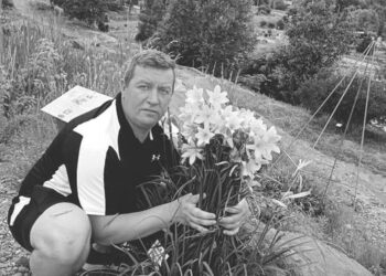 După o lungă luptă cu o boală necruțătoare, Adrian Vlăduț, unul dintre cei mai longevivi și devotați profesioniști din cadrul CSM Oradea s-a stins aseară