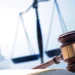 Protocolul privind educația juridică extins și la nivel universitar