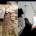 Se cere demisia conducerii pieței din Beiuș după ce un om și-a rupt piciorul în gropile din incintă. Directorul Ardelean: în hala de carne reușim să recoltăm o găleată de muște moarte!
