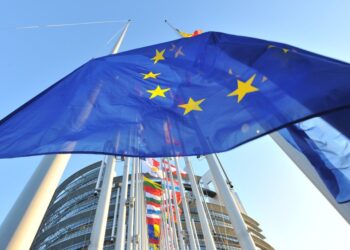 Decăderea din dreptul de a conduce autovehicule într-un stat membru al Uniunii este valabilă pe întreg teritoriul Uniunii Europene 