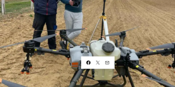 8 fermieri au pus bazele unei cooperative agricole la Curtuișeni. Lucrează 280 de ha cu drone