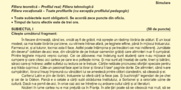 Blaga la simularea Bac-ului