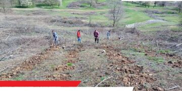 Azi începe cea mai amplă acțiune de plantare de copaci din România la Urvind,  Lugașu de Jos. Peste 500.000 de copaci pe 160 ha