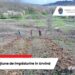 Azi începe cea mai amplă acțiune de plantare de copaci din România la Urvind,  Lugașu de Jos. Peste 500.000 de copaci pe 160 ha