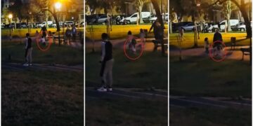 O adolescentă din Arad susține că e pisică. Avea o coadă, avea mustață de pisică, mască de pisică și se comporta ca o pisică, mergea în patru labe. Bineînțeles, câinele meu s-a speriat…