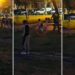O adolescentă din Arad susține că e pisică. Avea o coadă, avea mustață de pisică, mască de pisică și se comporta ca o pisică, mergea în patru labe. Bineînțeles, câinele meu s-a speriat…