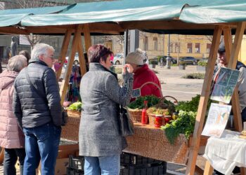 Se redeschid târgurile de la care orădeni pot cumpăra  de la producătorii locali