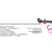 CONVOCATOR  A.G.O.E.A-S.C. TRANSGEX S.A.  Oradea