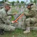 Parcelele de onoare ale eroilor români din Al Doilea Război Mondial, din Oradea și Salonta, îngrijite de militari din Centrul 54 Comunicații și Tehnologia Informației, Oradea