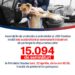 Prima inițiativă cetățenească din Oradea a strâns peste 15.000 semnături. Susținătorii Misiunii Grivei, așteptați la Primăria Oradea cu patrupedele la depunerea proiectului