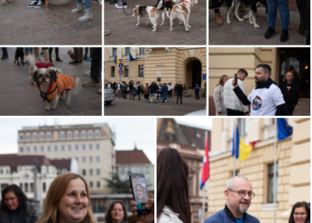 Funcționarii Primăriei surprinși de amploarea Misiunii Grivei. Zeci de orădeni s-au prezentat cu patrupedele pentru a forța o hotărâre de consiliu
