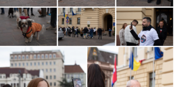 Funcționarii Primăriei surprinși de amploarea Misiunii Grivei. Zeci de orădeni s-au prezentat cu patrupedele pentru a forța o hotărâre de consiliu