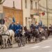Exemplare superbe, campioni internaționali la parada atelajelor de 2 și 4 cai din centru Oradiei. E preambulul Concursului Internațional de Atelaje Oșorhei
