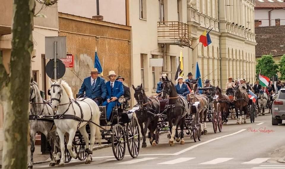 Exemplare superbe, campioni internaționali la parada atelajelor de 2 și 4 cai din centru Oradiei. E preambulul Concursului Internațional de Atelaje Oșorhei