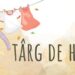Târg caritabil cu vânzare de haine noi și second hand