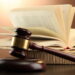 Recunoașterea unor drepturi proprii copilului minor sau copilului născut în timpul strămutării
