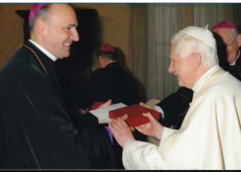 Episcopii romano-catolici și greco-catolici din întreaga țară se întâlnesc la Oradea. Episcopul Bercea, mărturie despre cea mai fericită zi din viață:   „Eram inginer şi preot, sfinţit în clandestinitate, deja de 9 ani. Preasfinţitul Alexandru i-a spus aceste lucruri Sfântului Părinte, Papa m-a bătut pe umăr…„