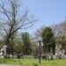 Un tânăr, fost boxer, șantaja un adolescent din Beiuș să-i de bani să joace la păcănele. Flagrant în parc