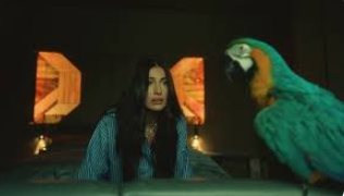 Alina Eremia, prima colaborare cu orădeanul David Ciente. Peste 40.000 vizualizări din prima zi