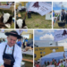 Cu ce au sedus juriul câștigătorii celei de-a XXI-a ediții a concursului de gătit gulaș de la Salonta. Slovacii de la Slavia au avut ca aliat bizonul