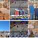 Festivalul Brutarilor de la Mădăras. Petrecere cu Georgiana Lobonț și Edward Sanda