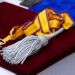 Drapelul de Luptă al ISU Bihor, decorat de către președintele României. Arafat la evenimentul din Piața Unirii