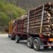 Transportul de materiale lemnoase va fi analizat de inteligența artificială