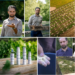 Afacere inedită la Lăzăreni. Igor și Lilia Gonța au investit într-o fermă de melci și au creat și o linie de cosmetice