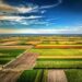 6 UAT-uri din Bihor cadastrate gratuit și în alte 17 se lucrează | Peste 7 milioane de cărți funciare au fost eliberate gratuit de ANCPI și peste 5,8 milioane de hectare înregistrate