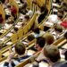 CAS Bihor: studenții care își desfășoară studiile în străinătate, pe perioada de vacanță în România, pot beneficia de asigurare