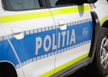 Proiect privind gestionarea actelor de violență de către polițiști
