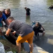 Scafandri din clubul unde practică scufundări vip-urile orașului, acțiune voluntară de ecologizare a Crișului Repede