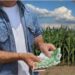 Tinerii fermieri sunt așteptați la APIA să depună documentele care fac dovada formării sau a deținerii competențelor adecvate în domeniul agricol/agronomic