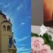 Au fost admiși noi tineri avocați stagiari  în Baroul Bihor