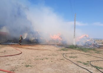 Incendiu la o fermă de 500 de măgari și măgărițe din  Cetariu.7 ore au încercat pompierii să stingă focul