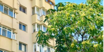 Un tânăr de 22 de ani ar fi căzut de la etajul 4 al unui bloc de pe Goga