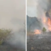  80 hectare de păşune şi pădure au ars în 24 de ore la Vintere