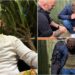 Fiul unui primar, reținut în Marea Britanie pentru pornografie infantilă