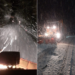 Ninge cu nemiluita la Budureasa- Stana de Vale. Zăpadă și la Sinteu, Arieseni-Vartop