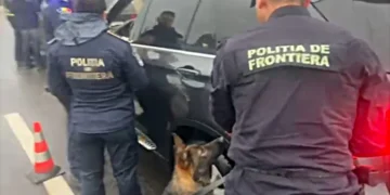 „GREEN- PASS”: Cu  cainii de urma în Vama. Se caută transporturi ilegale de migranți, acțiuni de  contrabanda. Verificate locații de cazare și  locurilor de muncă ale cetățenilor străini non-UE