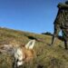 Bărbatul din Tilecus care și-a împușcat nepotul la vânătoare de vulpi, condamnat